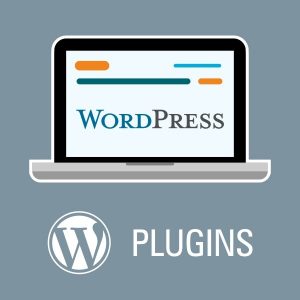 WordPress Plugins